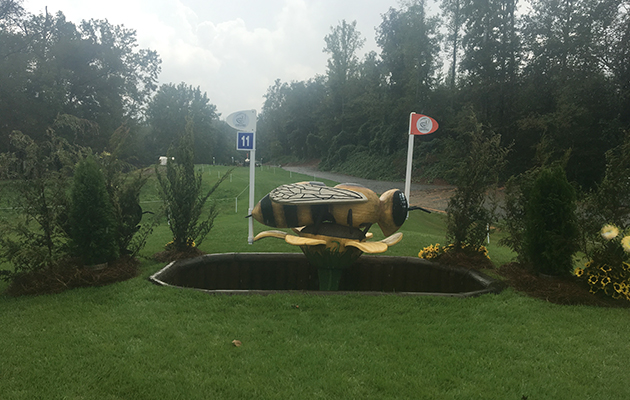 World Equestrian Games cross-country course