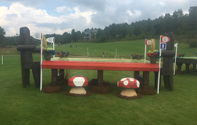 World Equestrian Games cross-country course
