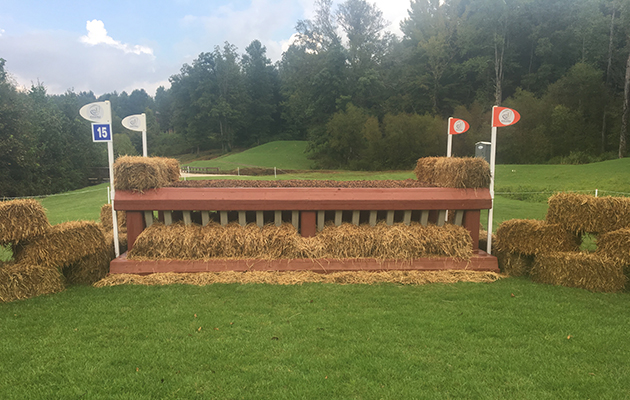 World Equestrian Games cross-country course