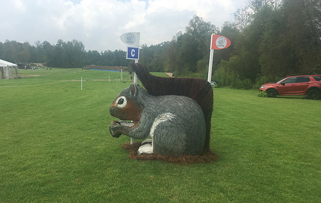 World Equestrian Games cross-country course