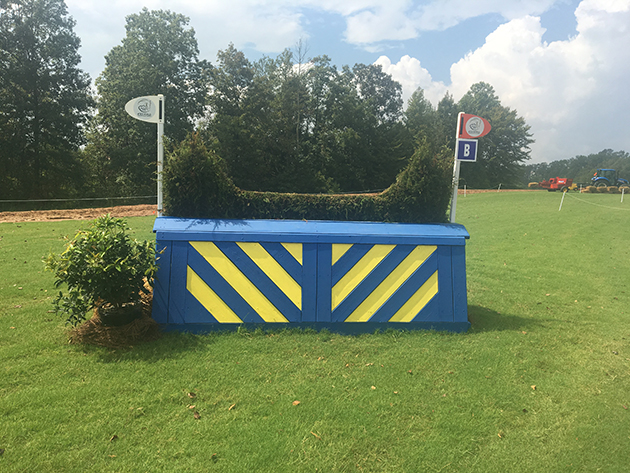 World Equestrian Games cross-country course