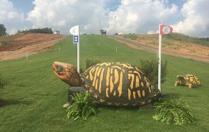 World Equestrian Games cross-country course