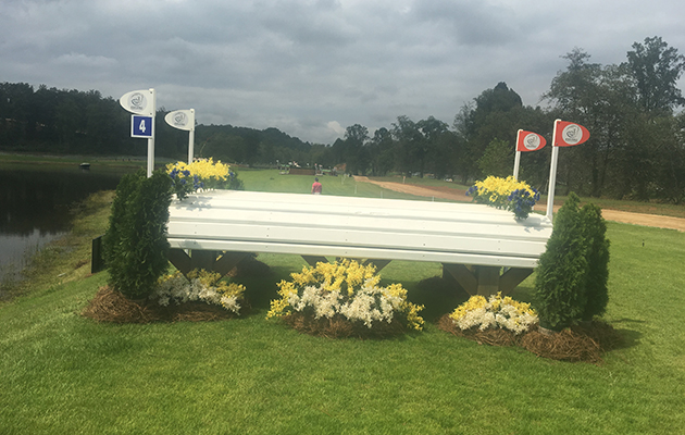 World Equestrian Games cross-country course