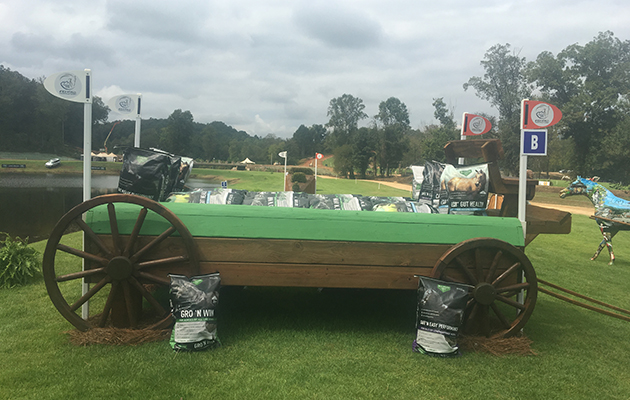 World Equestrian Games cross-country course
