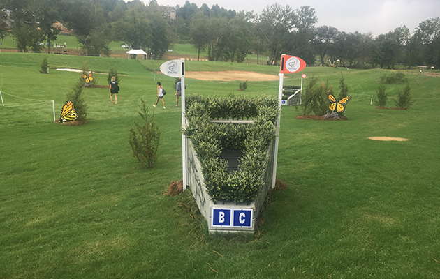 World Equestrian Games cross-country course