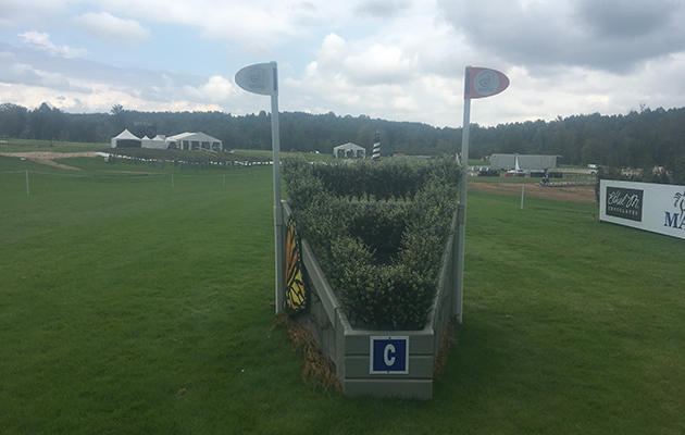 World Equestrian Games cross-country course
