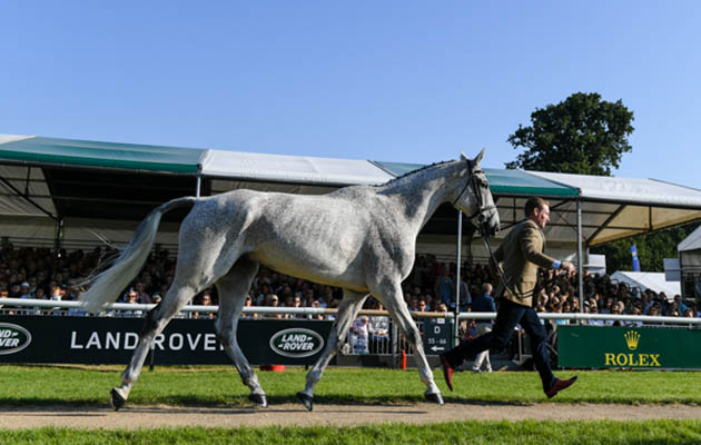 Oliver Townend and Ballaghmor Class at the final horse inspection at Land Rover Burghley Horse Trials 2018
