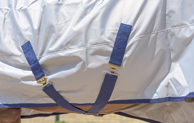 Bucas Sun Shower turnout rug review