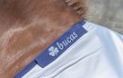 Bucas Sun Shower turnout rug review