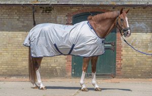 Bucas Sun Shower turnout rug review