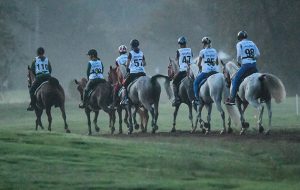 Endurance riders canter after the start Photo FEI/MARTIN DOKOUPIL