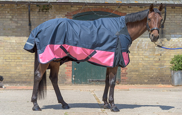 Felix Bühler High Neck Lissabon review