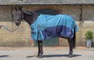 Fieldmasta Lightweight Turnout Rug review