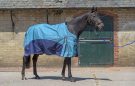 Fieldmasta Lightweight Turnout Rug review