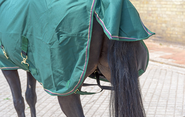 Kensington Rain Sheet review