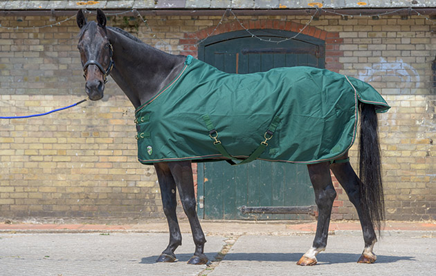 Kensington Rain Sheet review