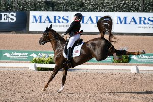 WEG para dressage Natasha Baker fall