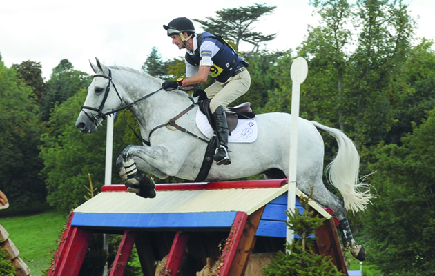 NZB Land Vision riddenby Mark Todd