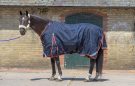 Premier Equine Buster Zero Turnout Rug review