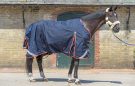 Premier Equine Buster Zero Turnout Rug review