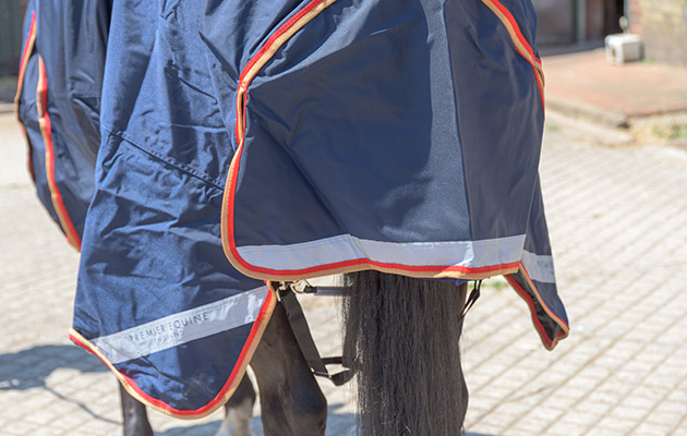 Premier Equine Buster Zero Turnout Rug review