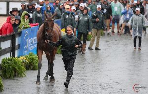 WEG eventing final trot-up