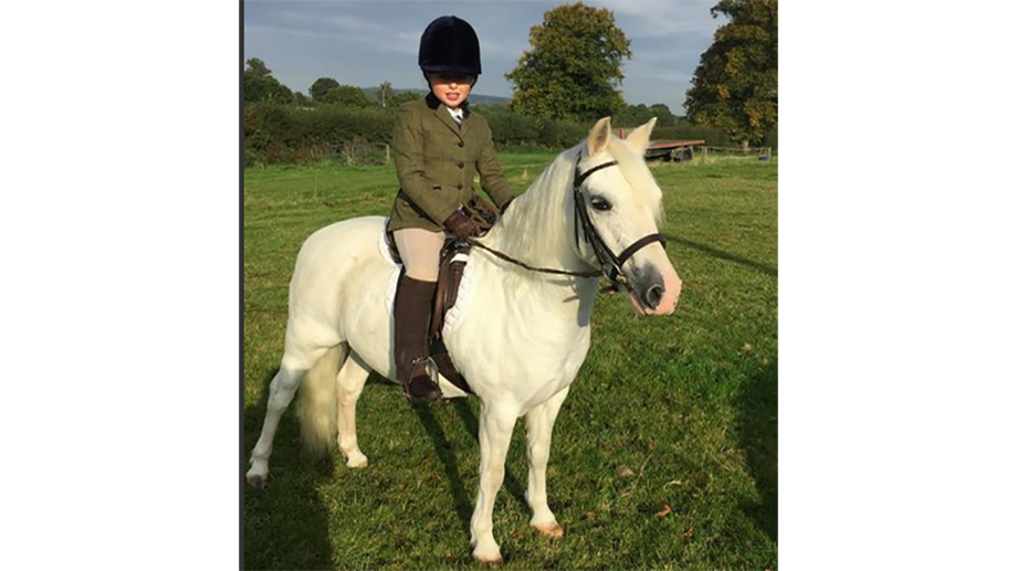 5 leadrein ponies that will melt your heart Horse & Hound