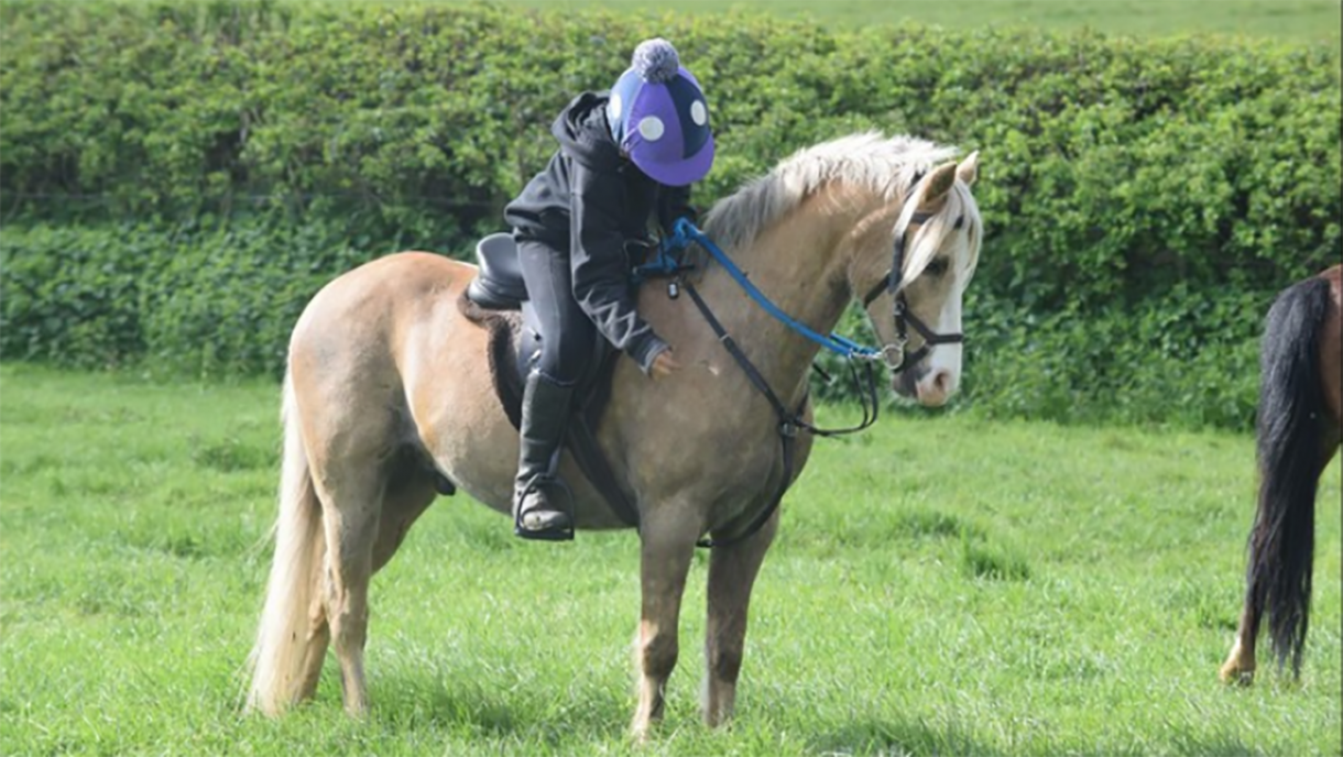 5 leadrein ponies that will melt your heart Horse & Hound