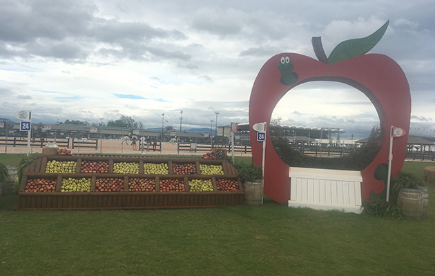 WEG cross-country course