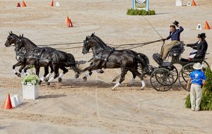 World Equestrian Games driving results: Boyd Exell wins individual gold