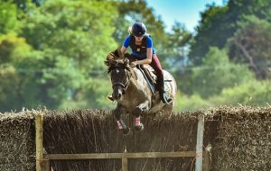 Brownbread Mary Mouse clearing the 1.35m brush fence.