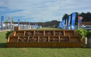 WEG cross-country course changed