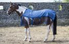 Aerochill Cooling Rug review