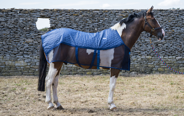 Aerochill Cooling Rug review