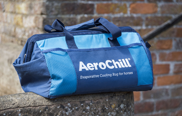 Aerochill Cooling Rug review
