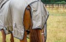 BR Fly Rug Combo Classic review