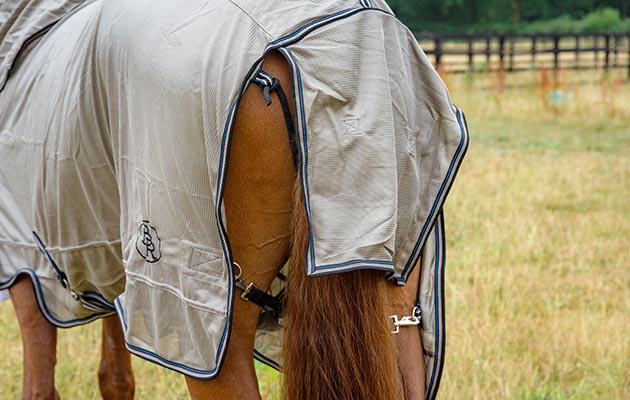 BR Fly Rug Combo Classic review