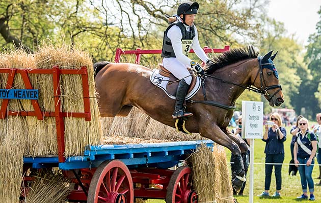Michael Jung + La Biosthetique - Sam FBW at the Countryside Haywain