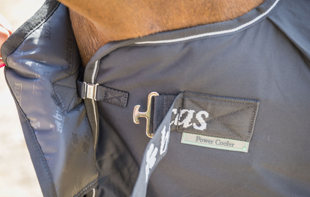 Bucas Power Cooler review