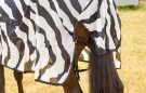 Bucas Buzz-Off Zebra full neck fly rug review