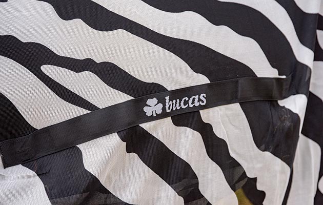 Bucas Buzz-Off Zebra full neck fly rug review