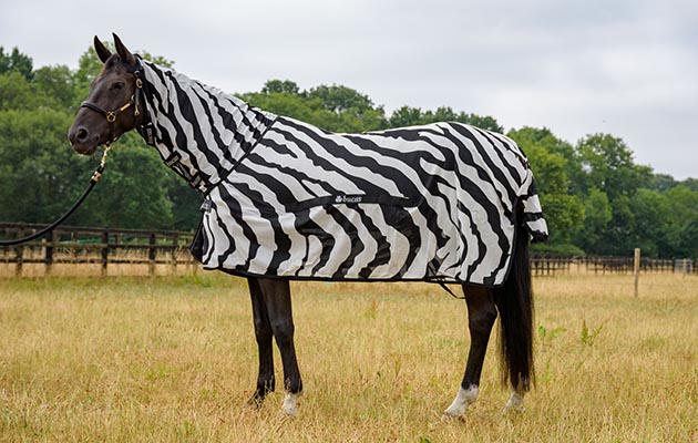 Bucas Buzz-Off Zebra full neck fly rug review