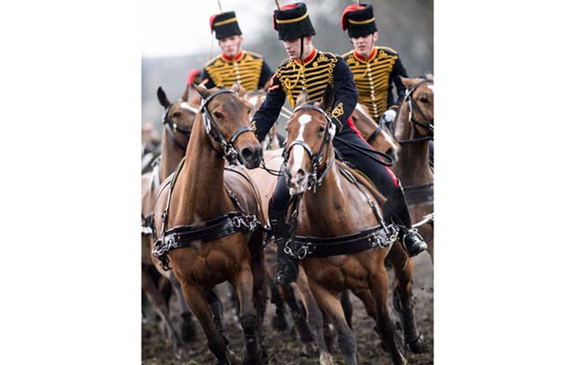 The King’s Troop Royal Horse Artillery Riding on the playing fields before Royal Artillery Barracks Major General Ben Bathurst, General Officer Commanding The Household Division, conducted his annual inspection of The King’s Troop Royal Horse Artillery on the playing fields before Royal Artillery Barracks, in Woolwich today. The inspection determined whether the Army’s ceremonial saluting battery is fit to perform its duties on behalf of the nation for the next twelve months. All Major General’s inspections are testing times for Army units, but this one takes place in full public view with the soldiers and horses performing one of the most heart-stopping and difficult displays in the ceremonial canon. The colourful and spectacular display included the world-famous Musical Drive. The Musical Drive is one of the most spectacular displays of horsemanship in the world involving risk laden complex choreographed moves with split second timing. Six magnificently turned–out horses draw each of six 13 pounder Field Guns and limbers, with the Gun detachment riding behind each Gun. The Guns in the Troop display all saw service in the First World War. Photographer: SSgt Rupert Frere RLC / MoD Crown