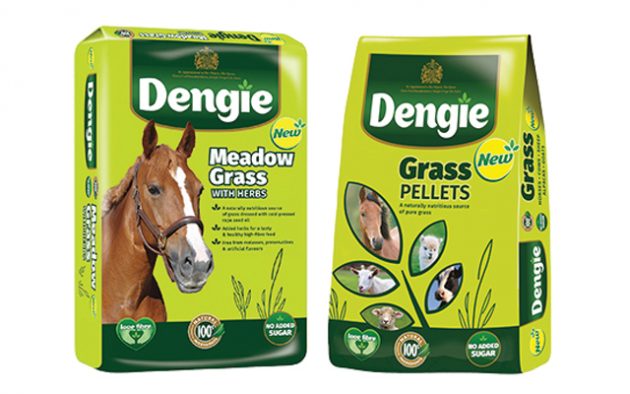 Dengie-Meadow-Grass
