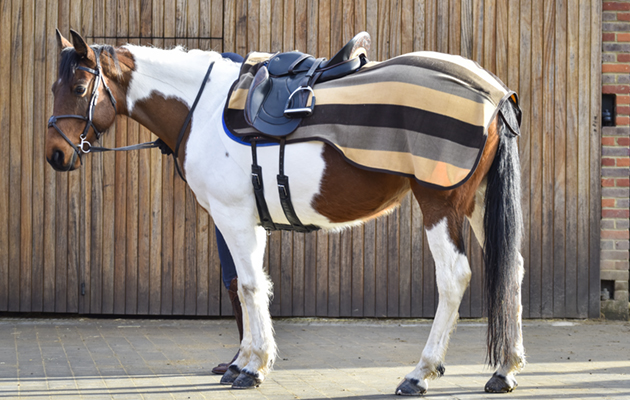 Equithème Stripe Exercise Sheet review