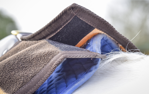 Equithème Stripe Exercise Sheet review