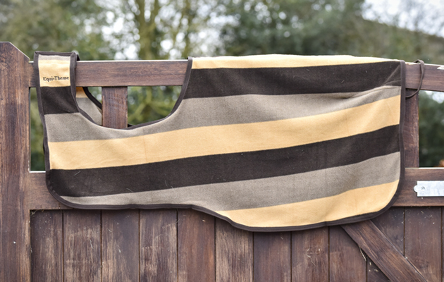 Equithème Stripe Exercise Sheet review