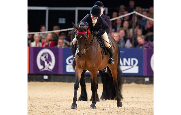 Lucy Glover riding CARMENS NOVELLO Supreme Pony