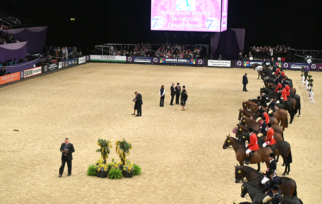 Small Show Hunter of the Year Championship at Horse of The Year Show 2018 at the NEC near Birmingham in the UK between 2nd- 7th October 2018