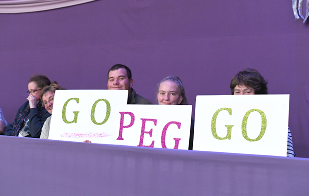 British Ridden Heavy Horse Championship at Horse of The Year Show 2018 at the NEC near Birmingham in the UK between 2nd- 7th October 2018